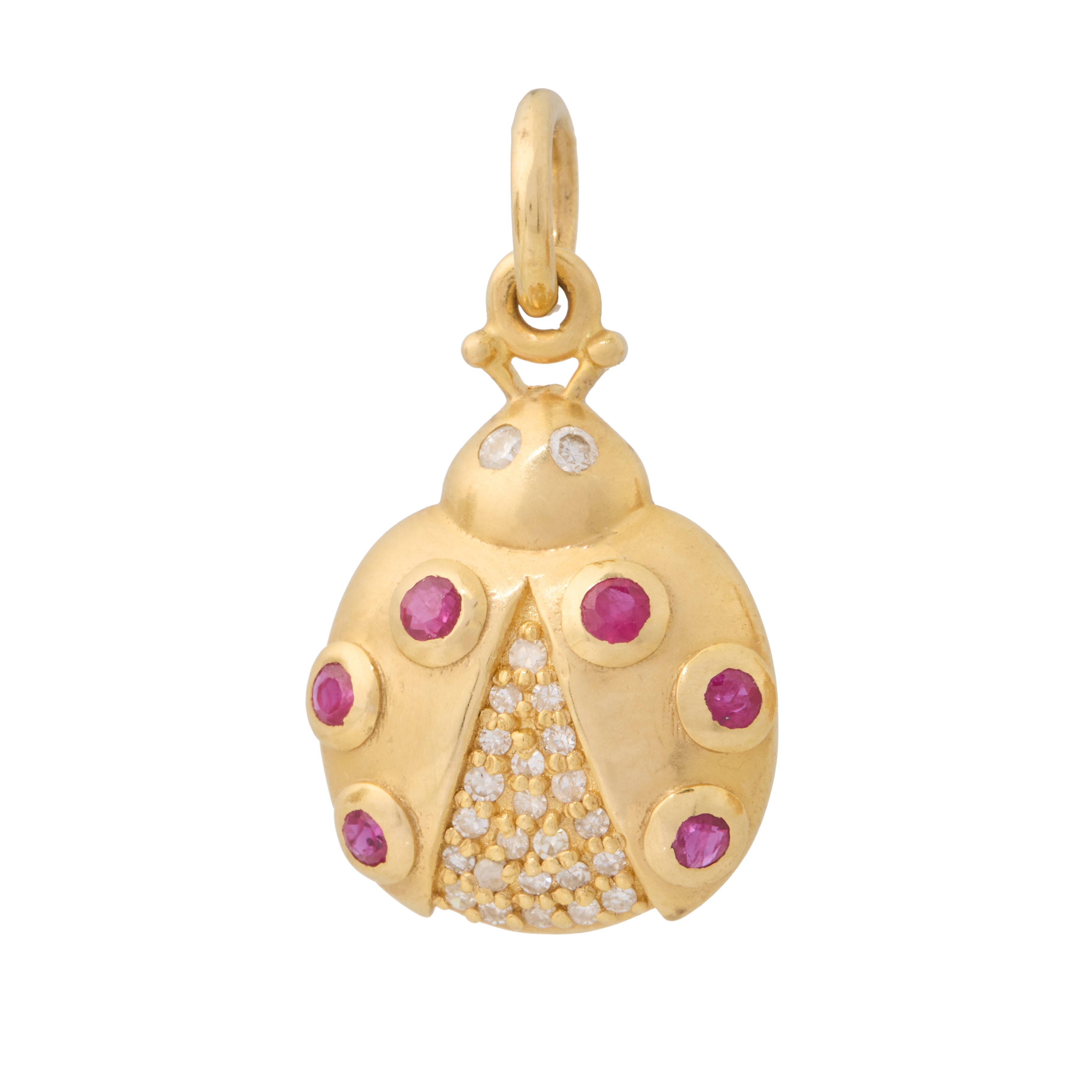 Ruby Ladybug Charm