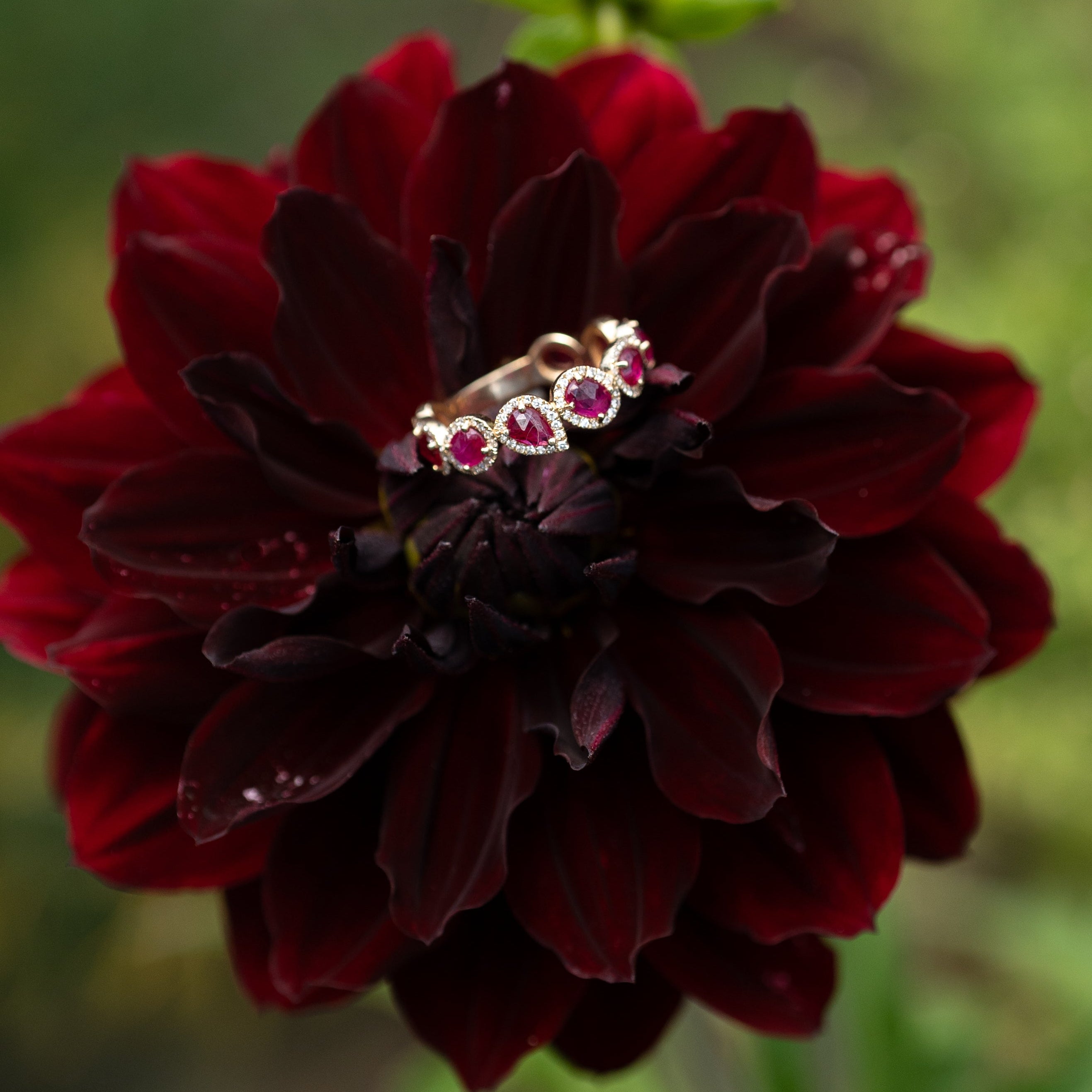 Dynasty Ruby Ring